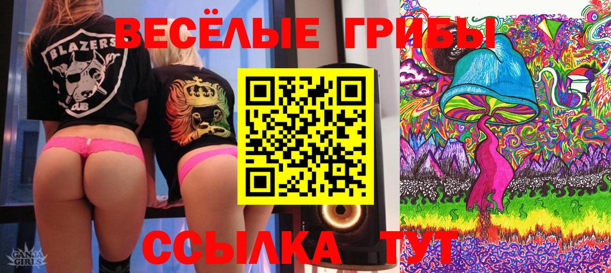 Псилоцибиновые грибы прущие грибы  Псилоцибиновые грибы MAGIC MUSHROOMS  Солнечногорск  Вход с VPN 